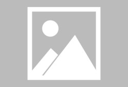 多米体育APP-清晨备战与连胜节奏：费耶诺德的荷甲霸气与灰熊的美式攻防交响